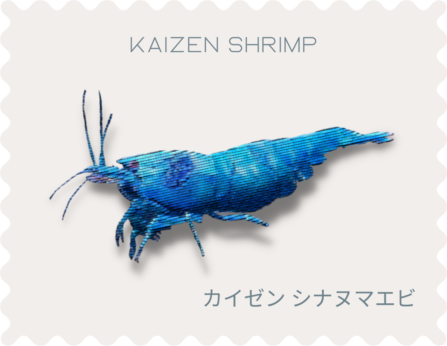 KaizenShrimp.com